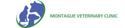 Montague Vet Clinic
